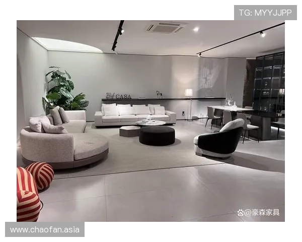 丽景湾家具:打造温馨舒适家居的理想选择